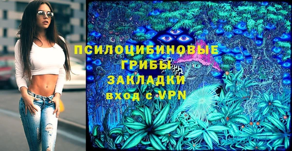 твердый Арсеньев