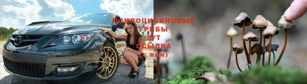 прущие крисы Аркадак