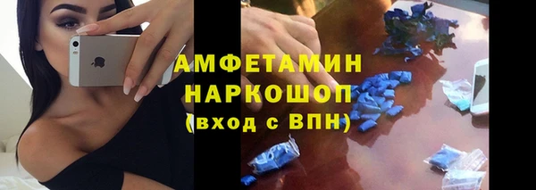 твердый Арсеньев