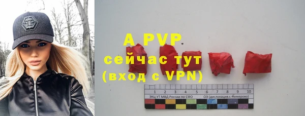 твердый Арсеньев