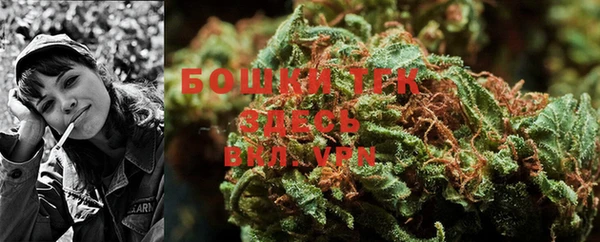 прущие крисы Аркадак