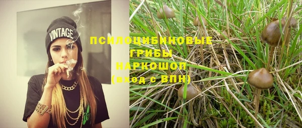 PSILOCYBIN Семикаракорск